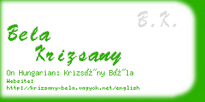 bela krizsany business card